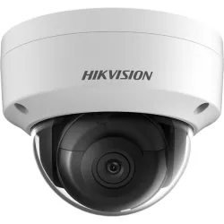 HIKVISION DS-2CD2123G2-IU